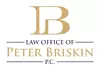 Personal Injury Lawyer Peter Briskin